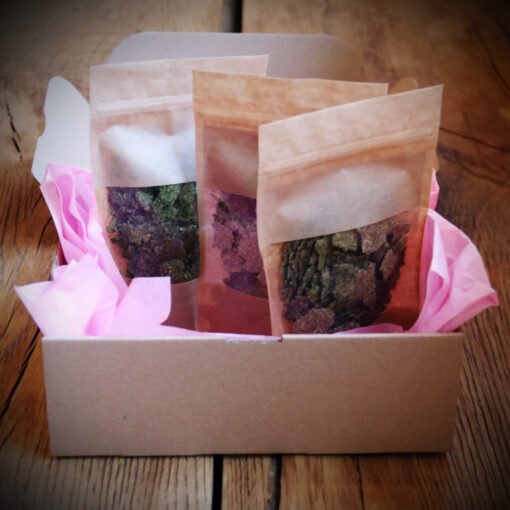Coffret Découverte