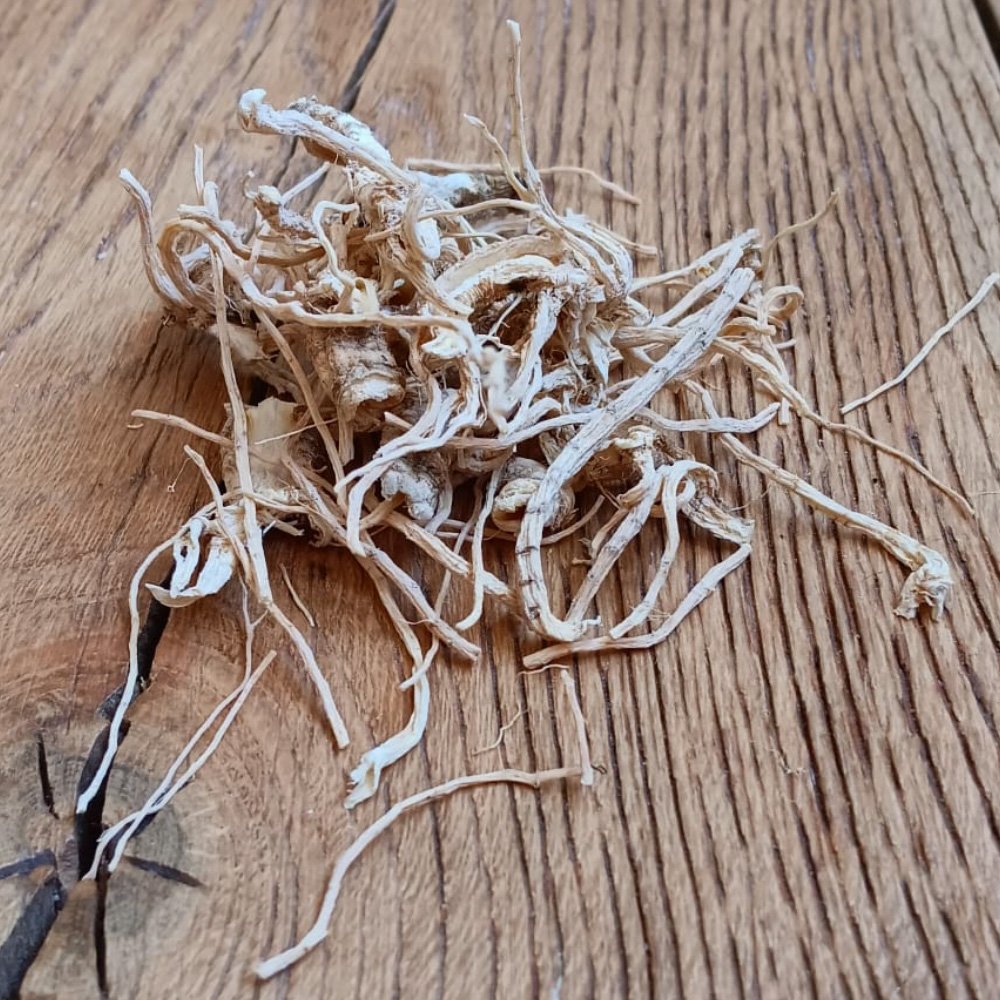 Racine de fenouil BIO