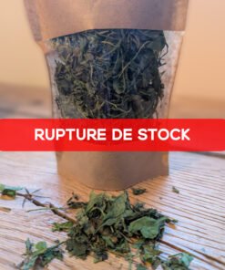 Mélange Menthe & Pourpier